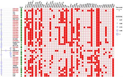 Genomic characteristics of clinical multidrug-resistant Proteus isolates from a tertiary care hospital in southwest China